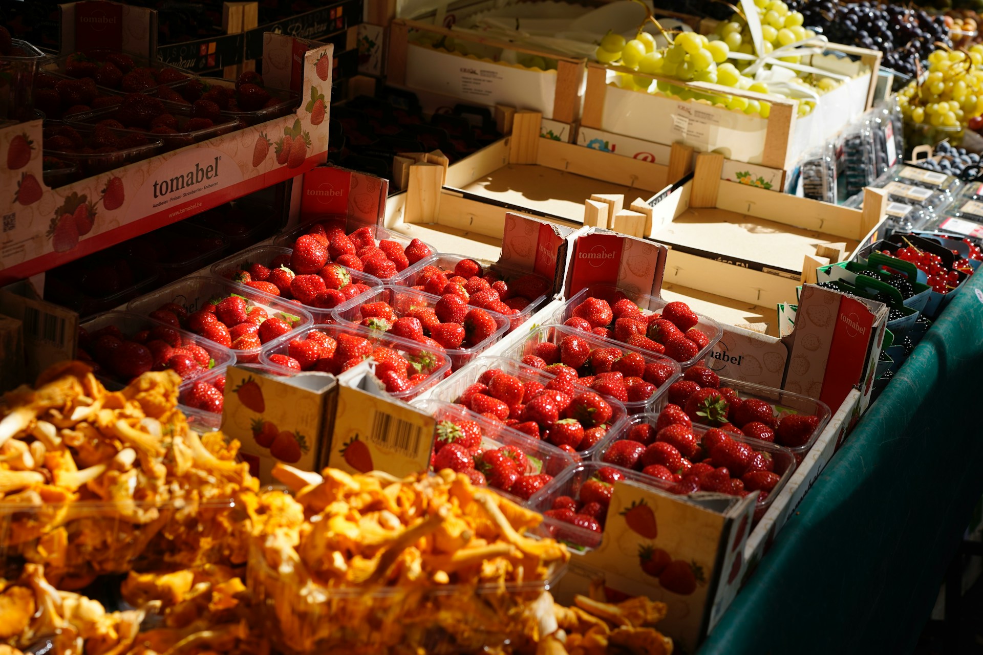 Camping Hauterives | Le Soleil Fruit�