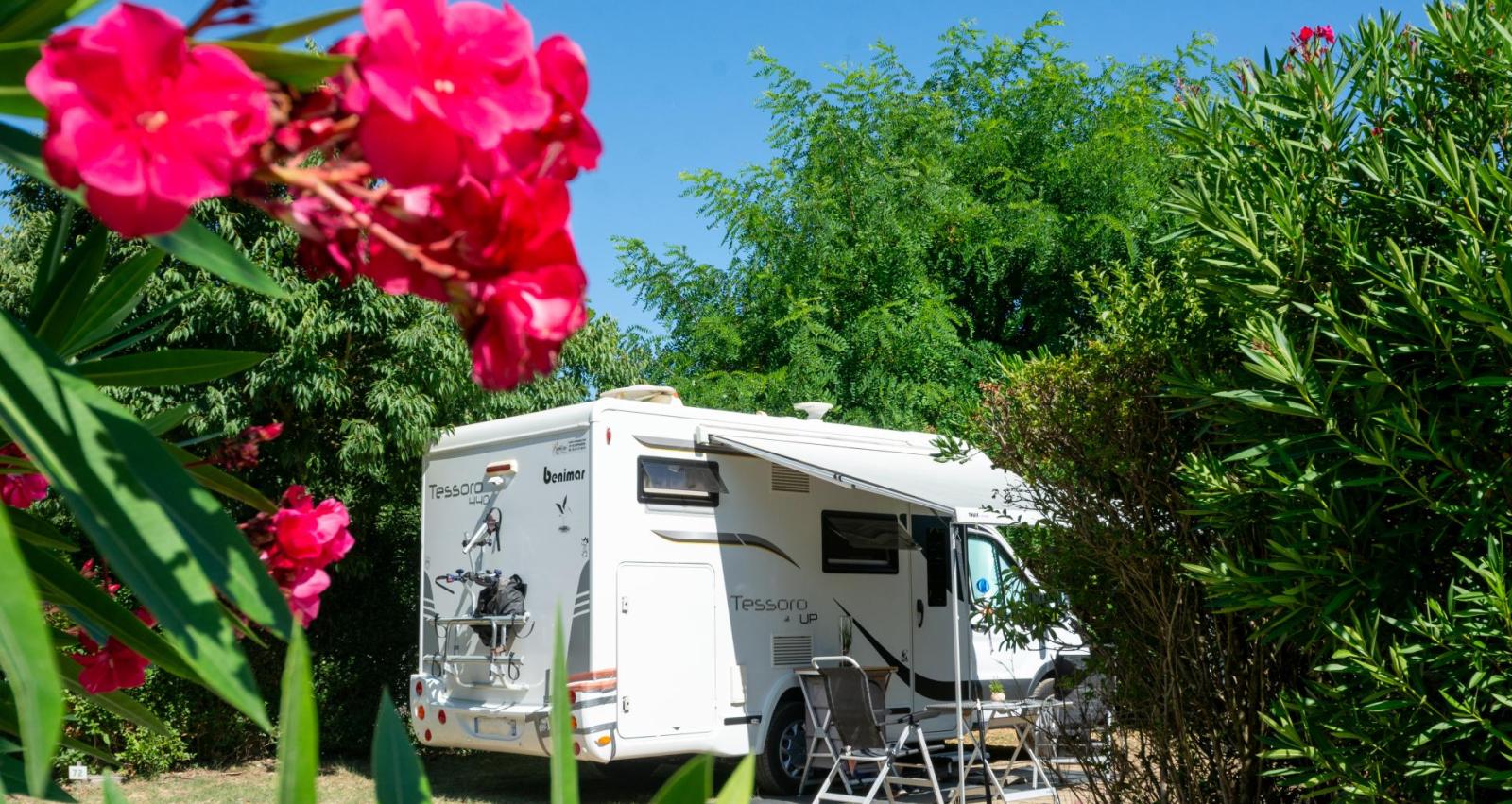emplacement soleil fruite