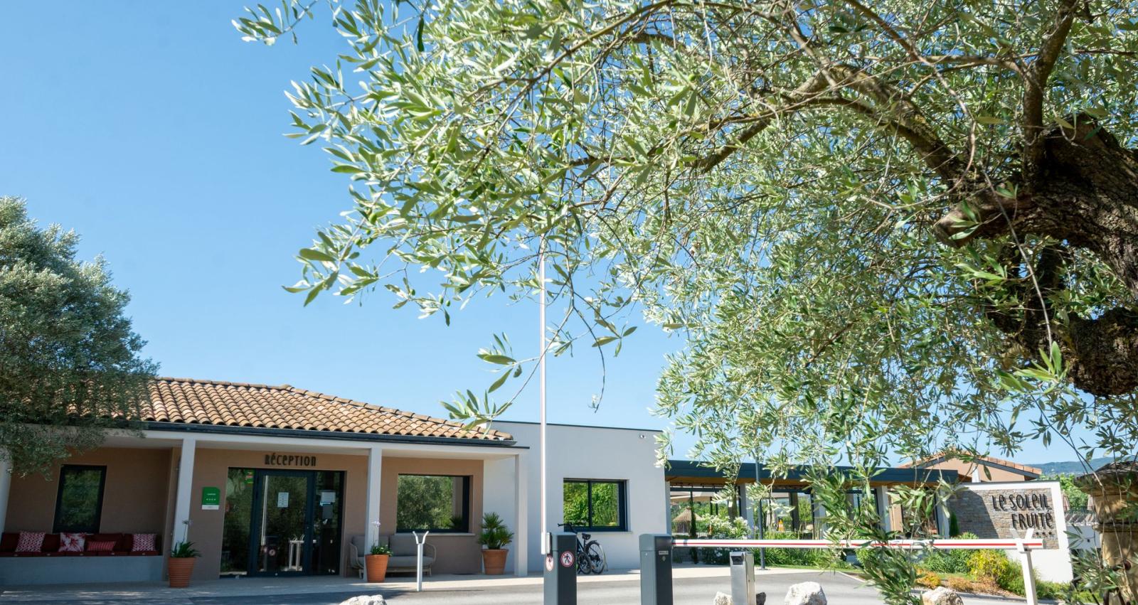 soleil fruite reception