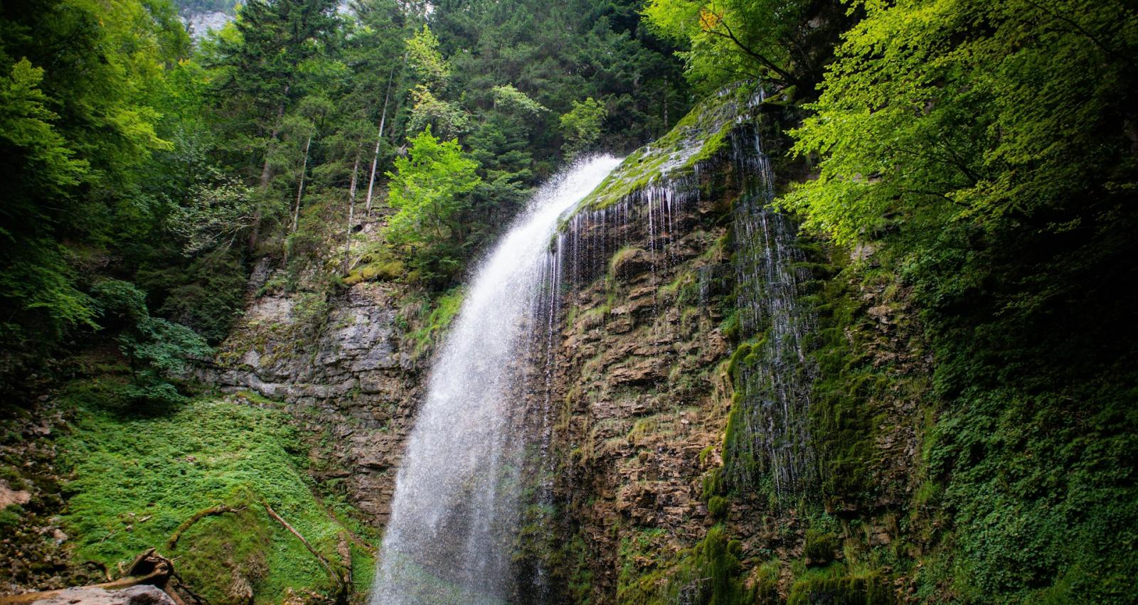 dafna maya uvdonaleybs unsplash